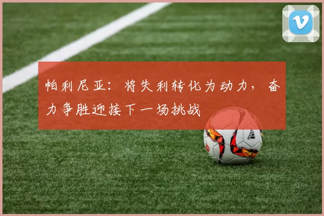 帕利尼亚：将失利转化为动力，奋力争胜迎接下一场挑战